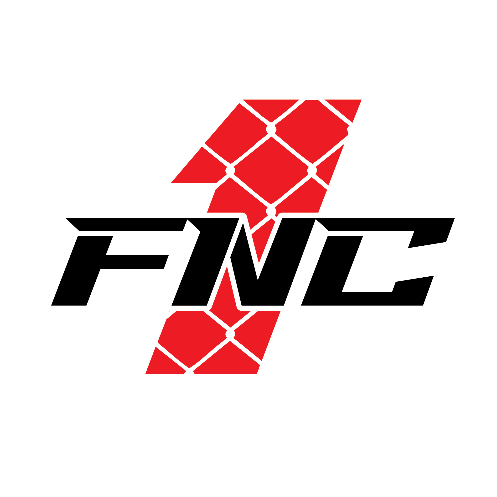 Fnc1